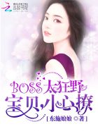 BOSS̫ҰС